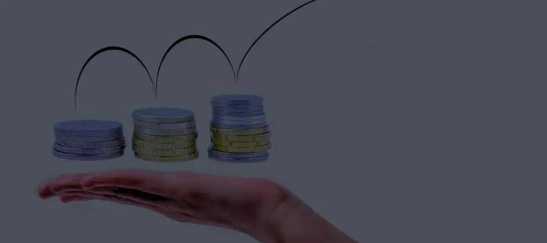 mycfong-profit-maximisation