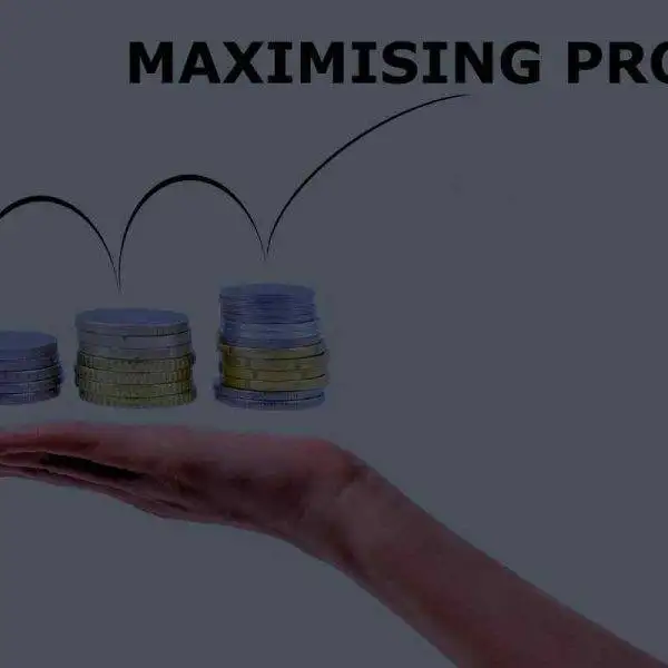 Blog Banner for profit maximisation mycfong-profit-maximisation